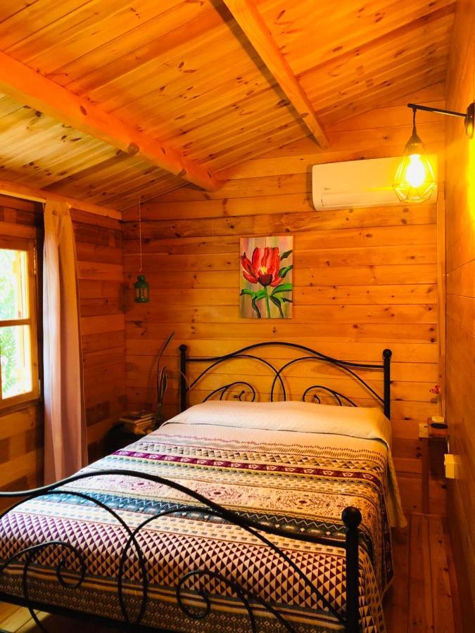 Happy Glamping Cy Villa Agios Theodoros Exterior foto