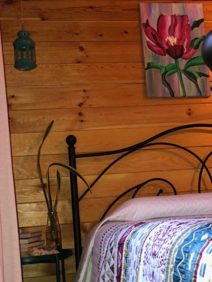 Happy Glamping Cy Villa Agios Theodoros Exterior foto