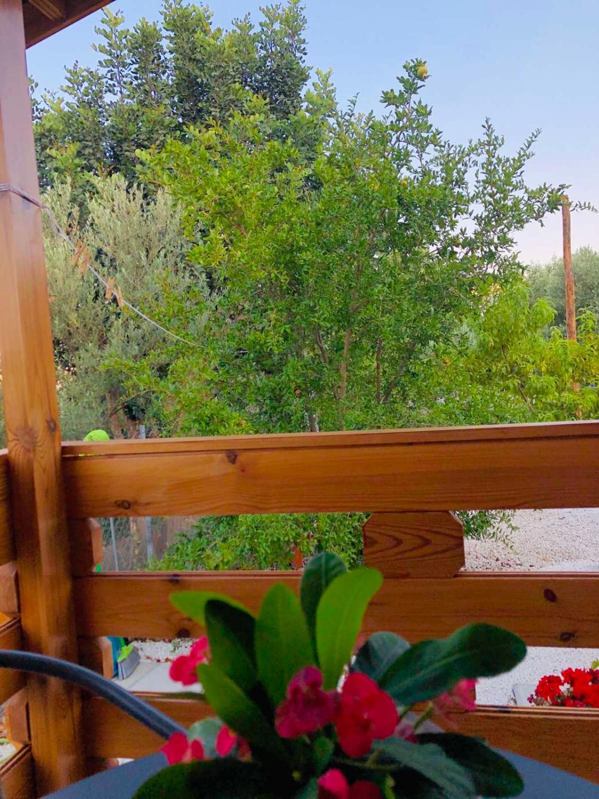 Happy Glamping Cy Villa Agios Theodoros Cameră foto