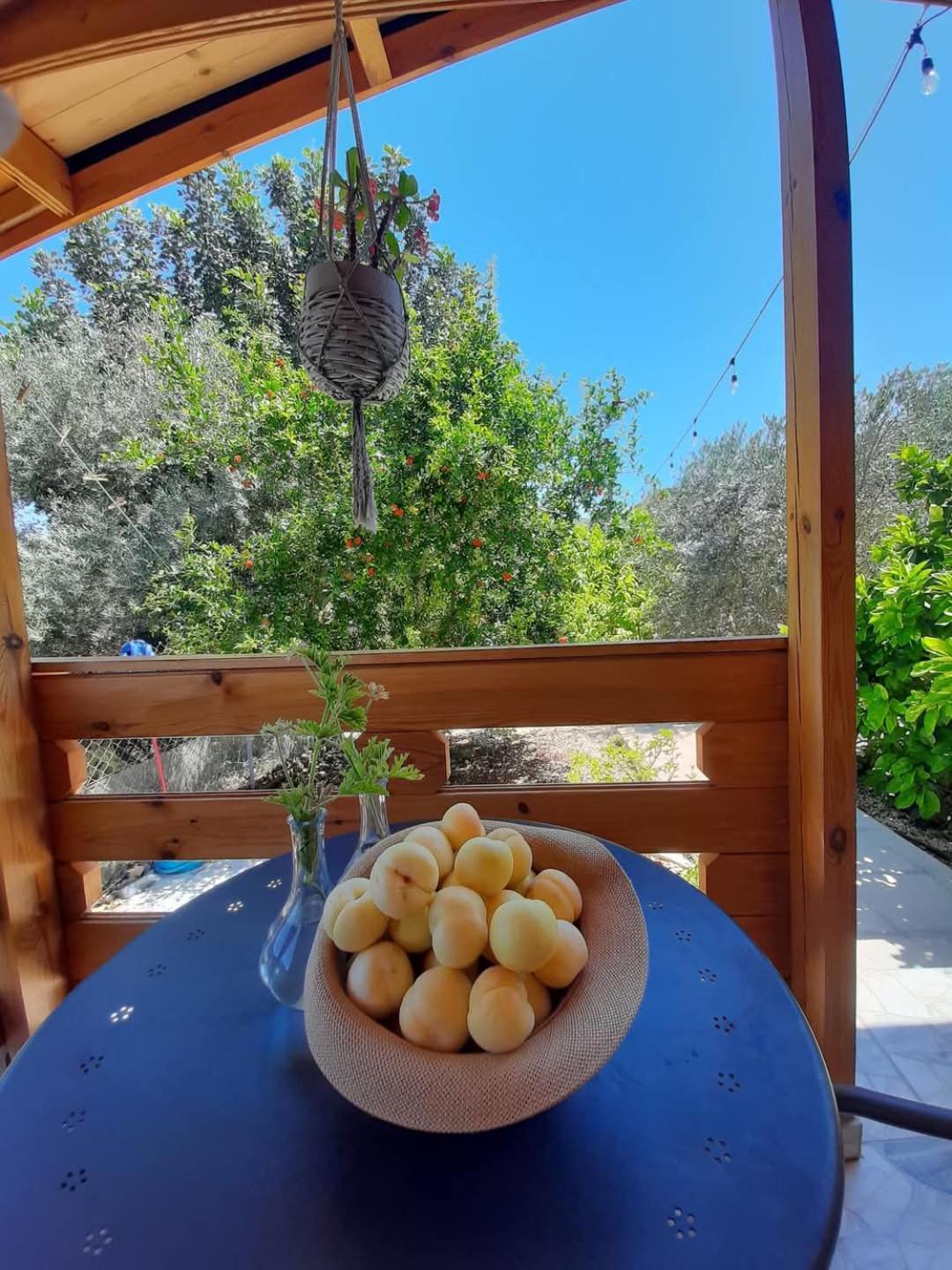 Happy Glamping Cy Villa Agios Theodoros Exterior foto
